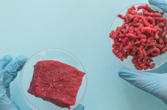 Alternative Proteins and the Future of Sustainable Nutrition