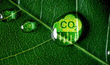 Decarbonization: Inside ICL’s Strategy for a Low-Carbon Future