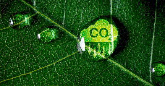 Decarbonization: Inside ICL’s Strategy for a Low-Carbon Future