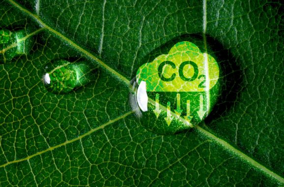 Decarbonization: Inside ICL’s Strategy for a Low-Carbon Future