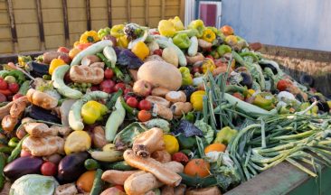 The Hidden Cost of Food Waste
