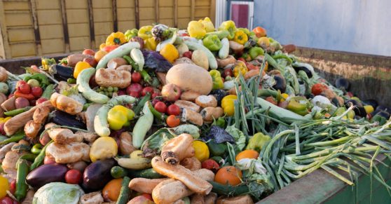 The Hidden Cost of Food Waste
