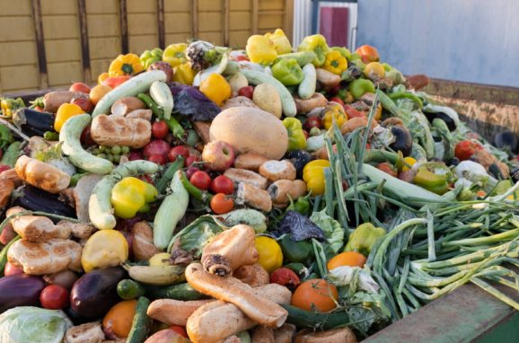 The Hidden Cost of Food Waste