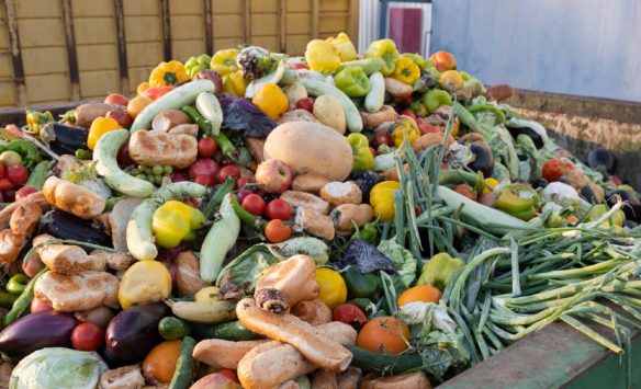 The Hidden Cost of Food Waste