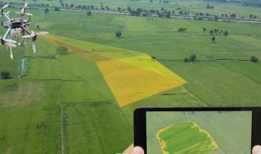 Precision Fertilization: Smarter Nutrition Strategies for Sustainable Farming