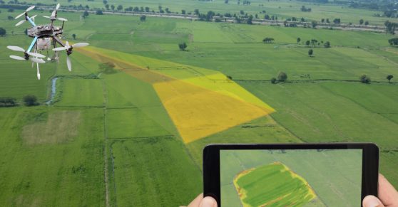 Precision Fertilization: Smarter Nutrition Strategies for Sustainable Farming