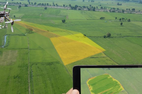 Precision Fertilization: Smarter Nutrition Strategies for Sustainable Farming