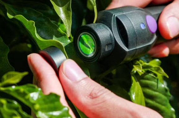 ICL launches technology for instant nutritional diagnosis of plants