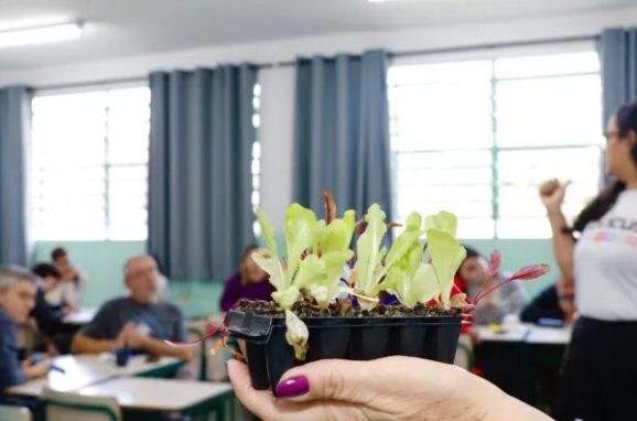 Suzano City carries out the ‘Seeds of Tomorrow – Educational Gardens’ project in ten schools