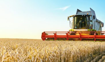 From Limiting Factors to Lasting Solutions in Farming