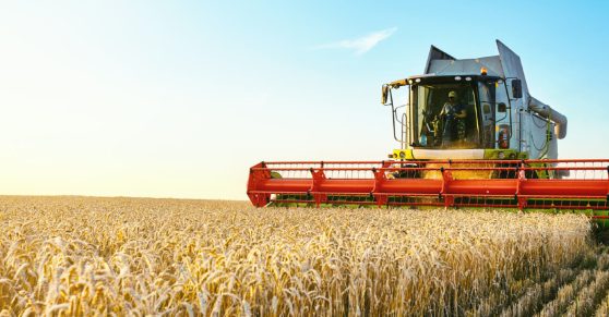 From Limiting Factors to Lasting Solutions in Farming
