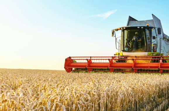 From Limiting Factors to Lasting Solutions in Farming