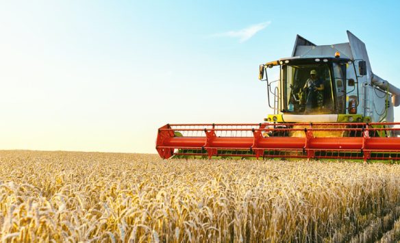 From Limiting Factors to Lasting Solutions in Farming