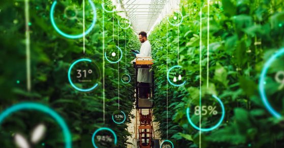 The Role of Specialty Phosphates in a More Sustainable Food System