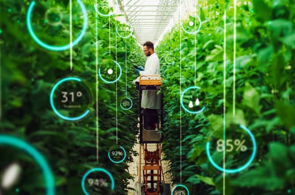 The Role of Specialty Phosphates in a More Sustainable Food System