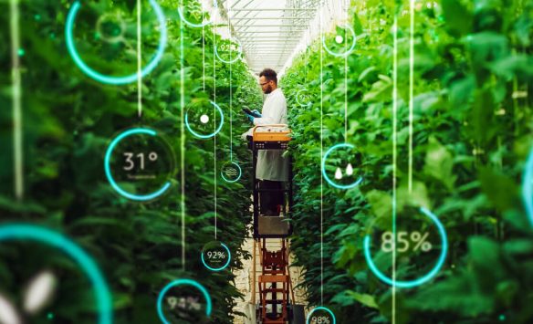 The Role of Specialty Phosphates in a More Sustainable Food System
