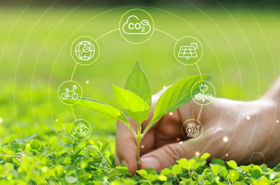 Climate Risk Disclosure: What It Means for Corporations