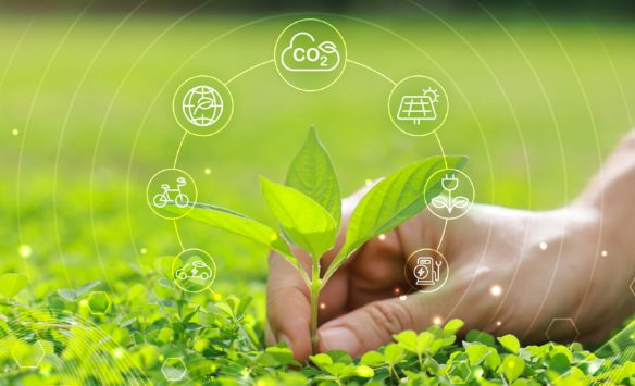 Climate Risk Disclosure: What It Means for Corporations