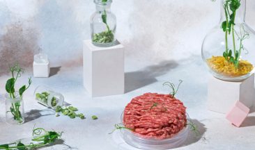Plant-Based Innovation 3.0: Where Science, Sustainability, and Taste Converge
