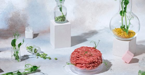 Plant-Based Innovation 3.0: Where Science, Sustainability, and Taste Converge