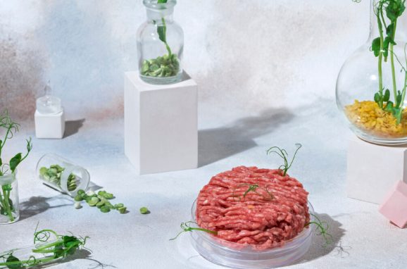 Plant-Based Innovation 3.0: Where Science, Sustainability, and Taste Converge