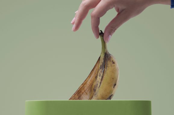 From Waste to Worth, Building a More Sustainable Food System