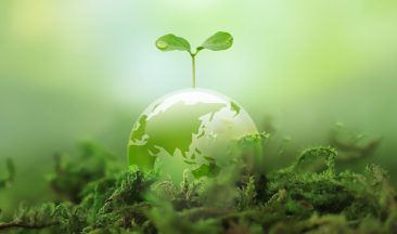 Building Climate-Resilient Agriculture: A Data-Driven Approach to Smarter, Sustainable Farming