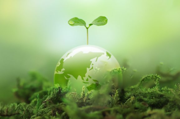 Building Climate-Resilient Agriculture: A Data-Driven Approach to Smarter, Sustainable Farming