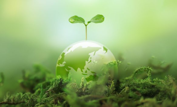 Building Climate-Resilient Agriculture: A Data-Driven Approach to Smarter, Sustainable Farming