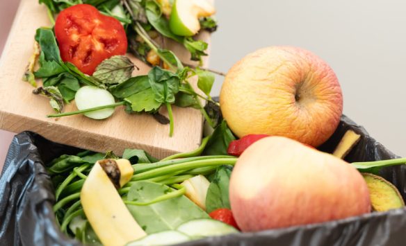Food Waste and Food Security: Why It Matters Now