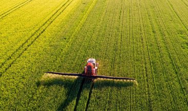 The Role of Fertilizers in Combating World Hunger: ICL’s Impact on Agricultural Yield