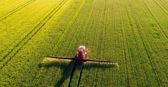 The Role of Fertilizers in Combating World Hunger: ICL’s Impact on Agricultural Yield