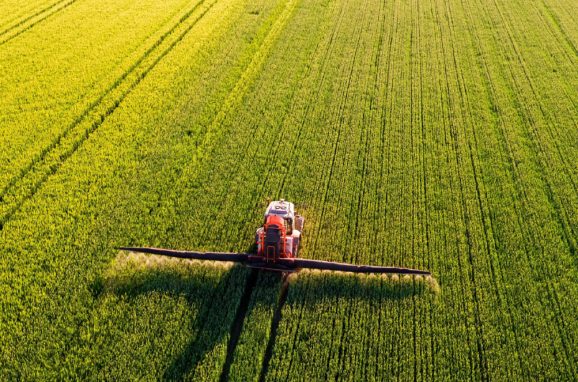 The Role of Fertilizers in Combating World Hunger: ICL’s Impact on Agricultural Yield