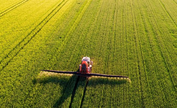 The Role of Fertilizers in Combating World Hunger: ICL’s Impact on Agricultural Yield