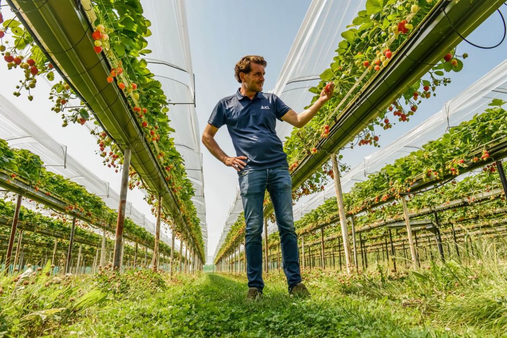 Autonomous agricultural robot performing precision harvesting to overcome labor shortages