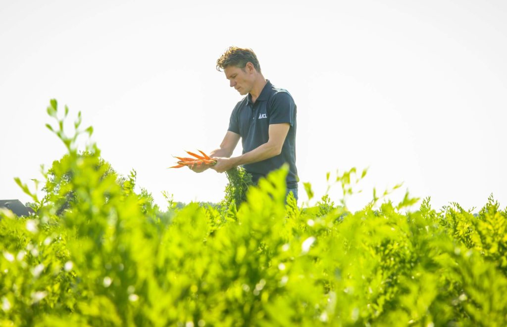 Agronomic data analytics dashboard showing big data insights for precision agriculture.