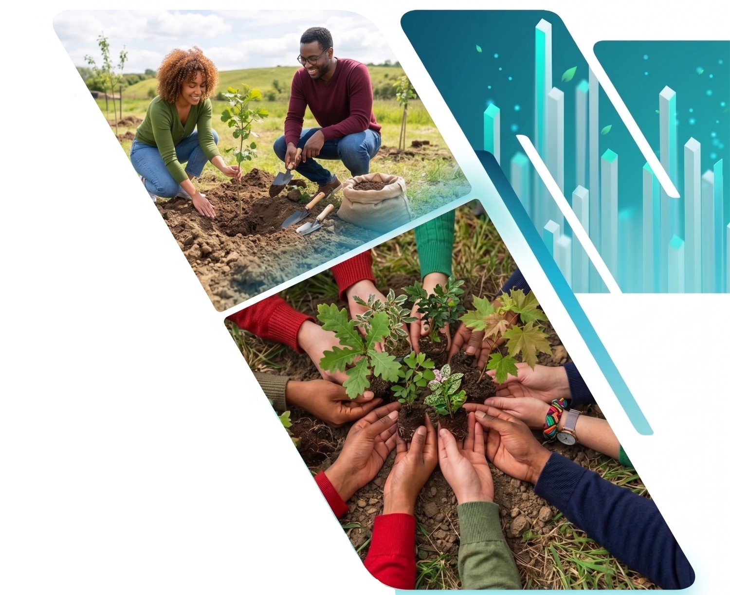 ICL employees volunteering together — planting a tree and tending a garden